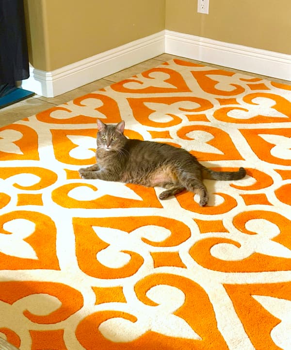 Grayson the cat laying on the clean rug