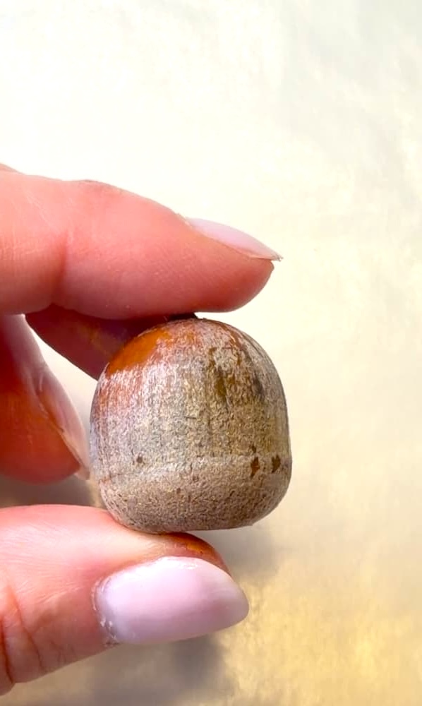 Holding an acorn